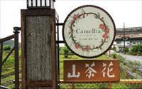 Camellia山茶花法式甜點