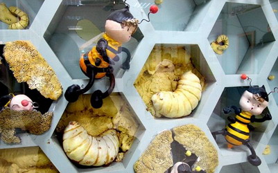 「養蜂人家蜂采館」Blog遊記的精采圖片