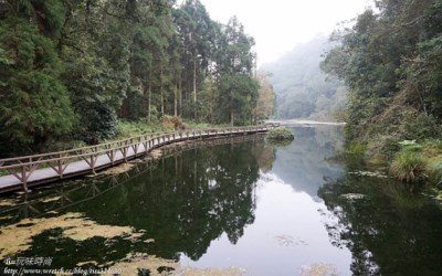 「福山植物園」Blog遊記的精采圖片